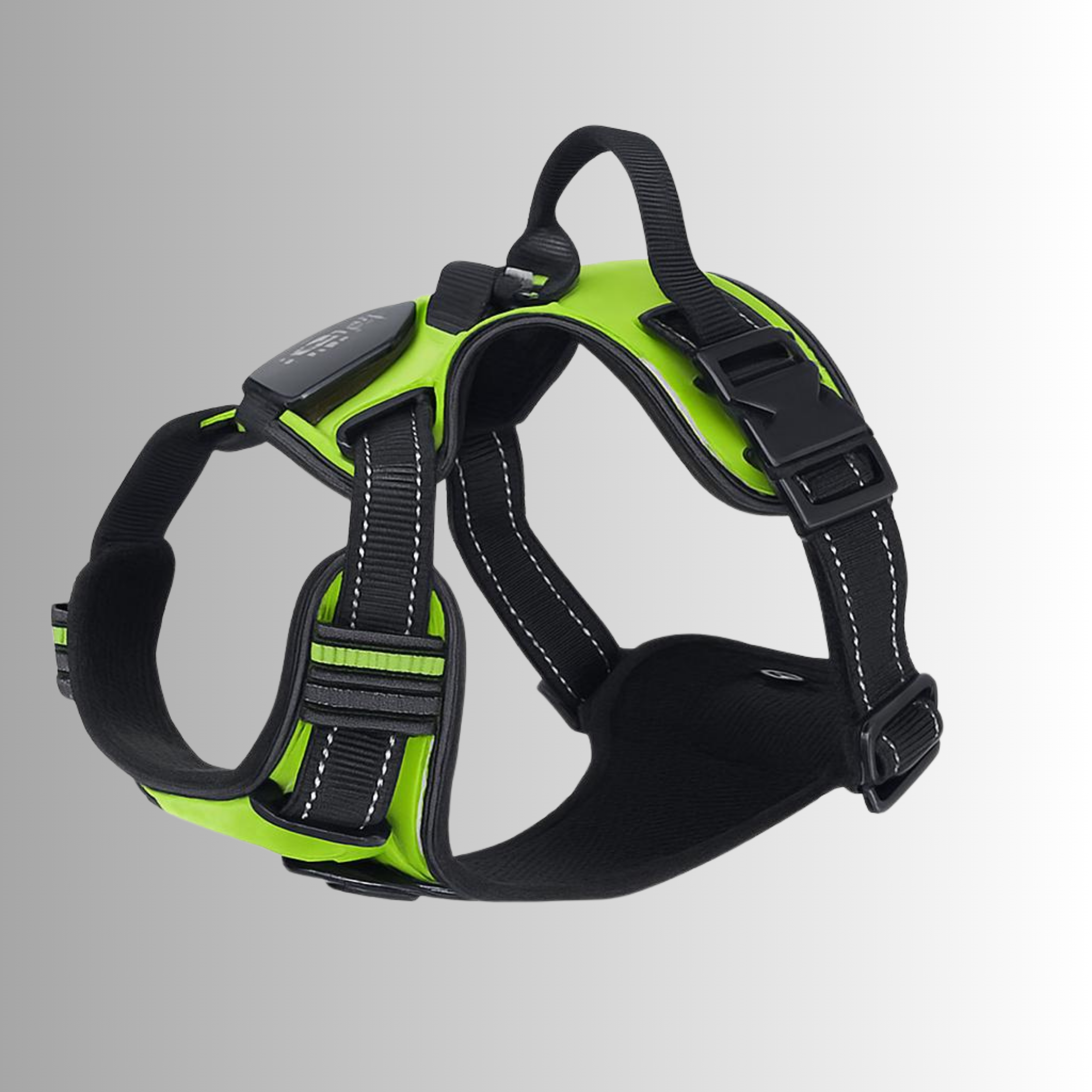 LED Sele för både Hund & Katt