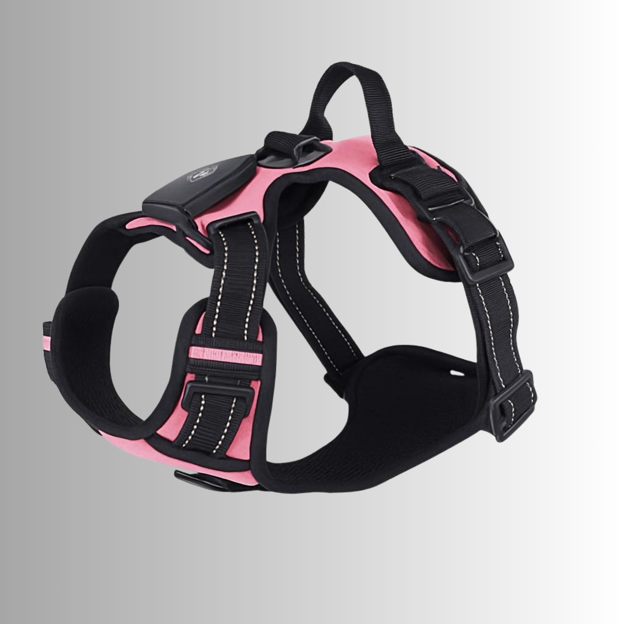 LED Sele för både Hund & Katt