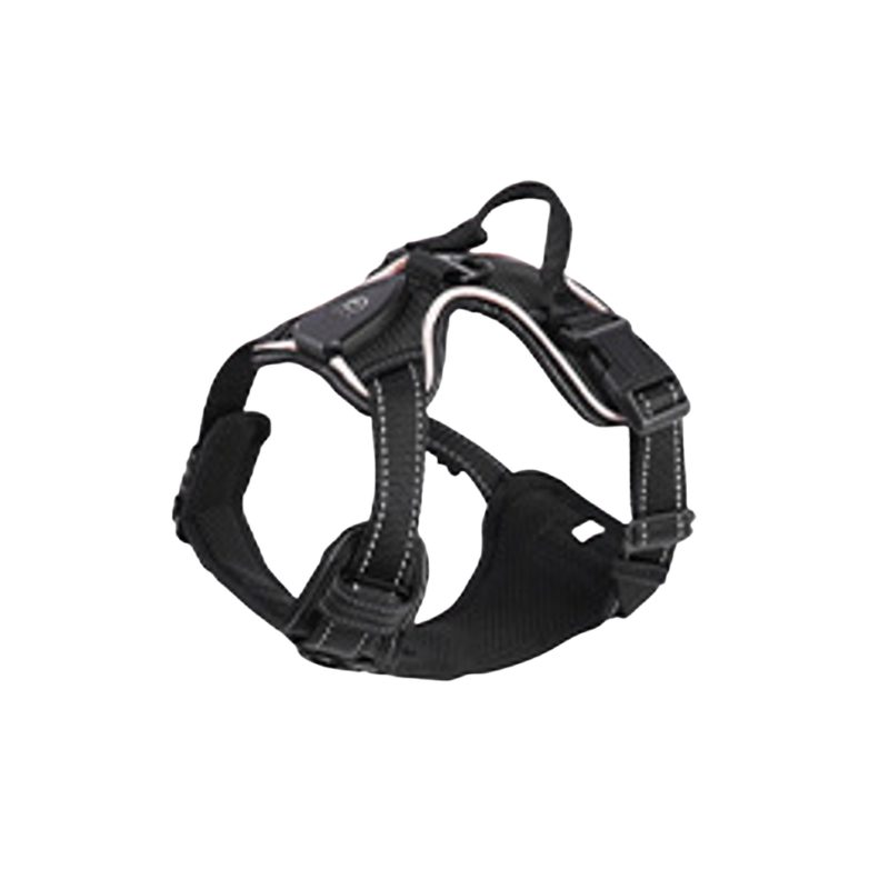 LED Sele för både Hund & Katt