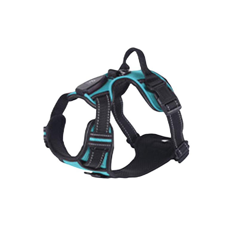 LED Sele för både Hund & Katt