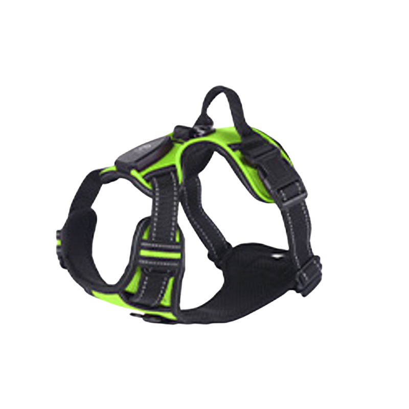 LED Sele för både Hund & Katt