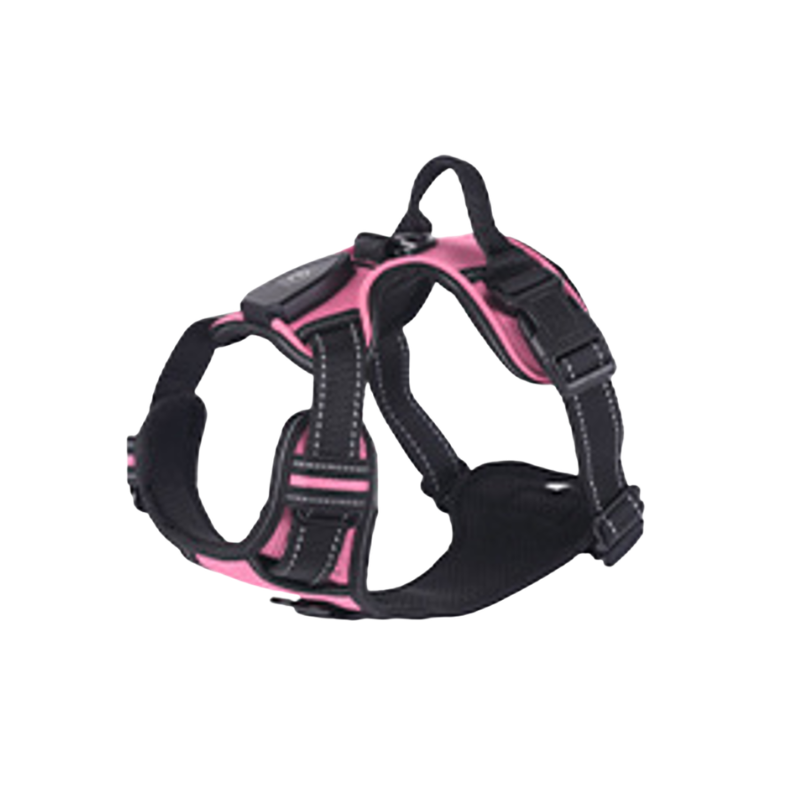 LED Sele för både Hund & Katt