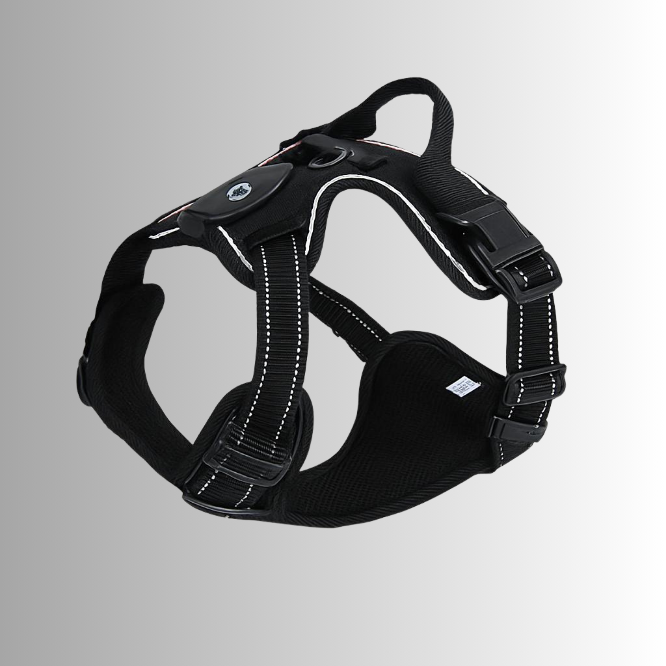 LED Sele för både Hund & Katt