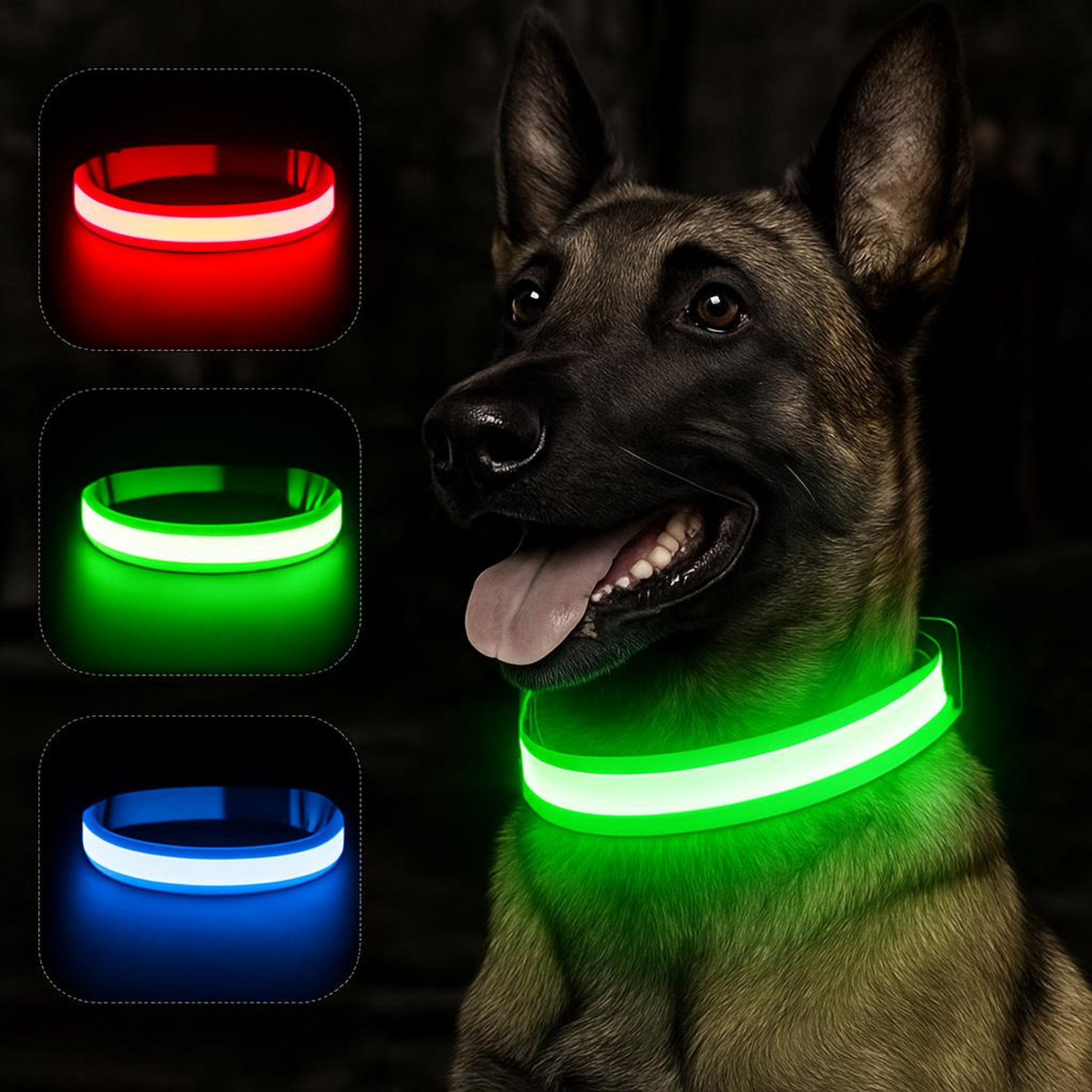 LED-halsband för Hund & Katt