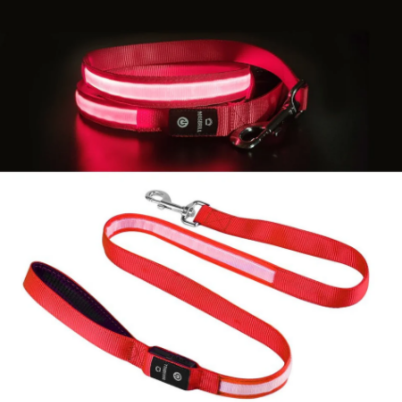 LED-koppel rött till husdjur