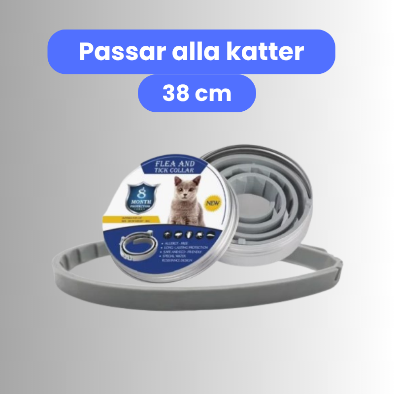 Fästinghalsband för både hund & katt