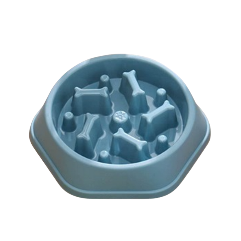 Blå matskål till hundar