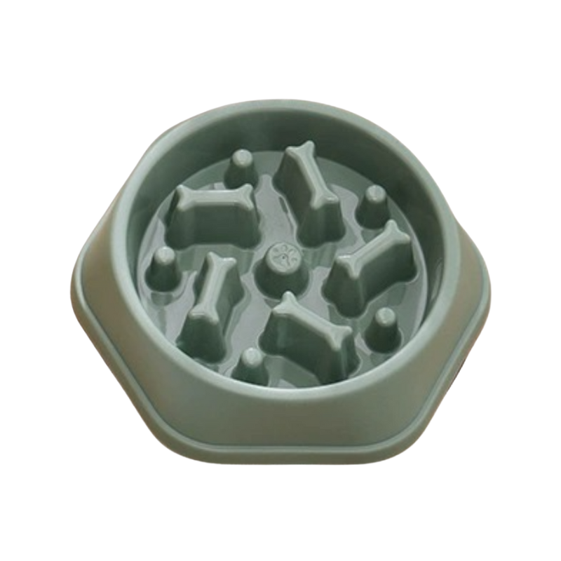 Grön matskål till hundar