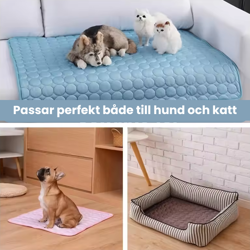 Exklusiv Kylfilt för Hund & Katt – Sval Komfort i Elegant Design