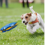 Flying Saucer Bouncing Ball