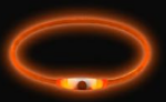 Orange LED-halsband