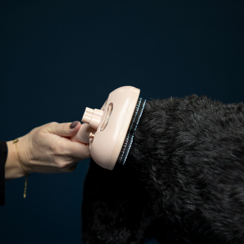 Pälsborste för Katt - Skonsam och Effektiv