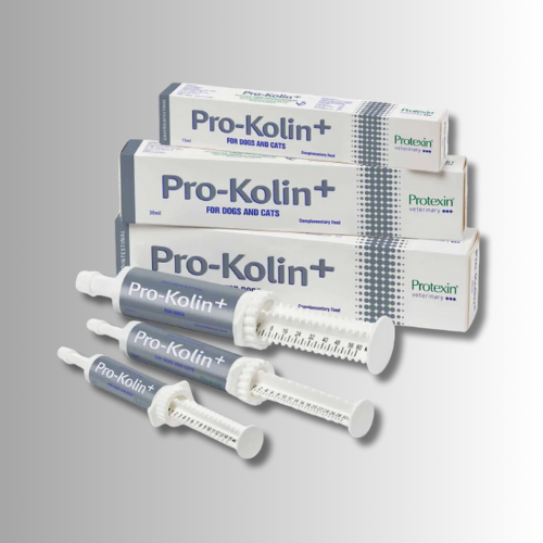 Kosttillskott-Pro-kolin