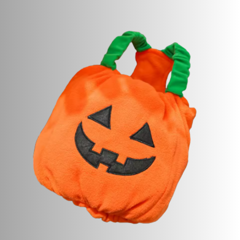 🎃 Halloween Kostym - Söt Pumpa för Hund & Katt