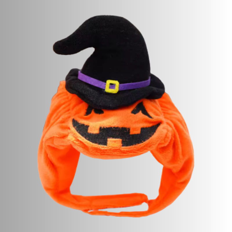 🎃 Halloween Kostym - Söt Pumpa för Hund & Katt