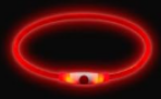 Rött LED-halsband