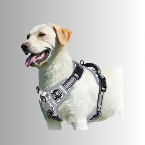 Hund-Sele-Kamouflage