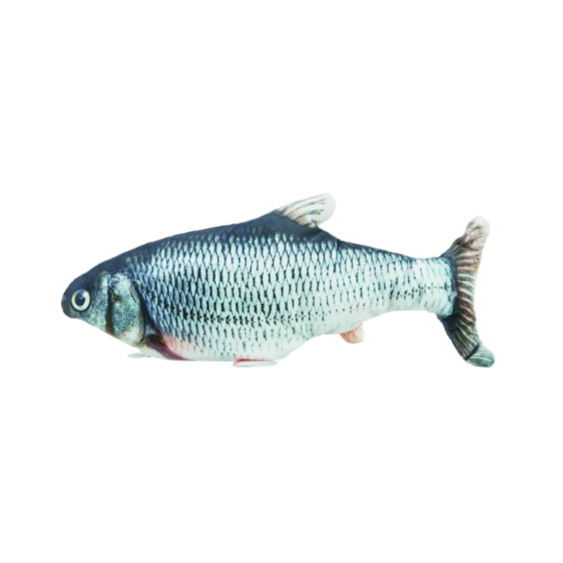 Bild på en fisk som är en kattleksak