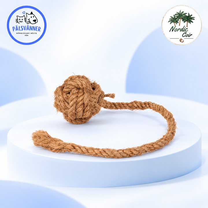 Koko Swing Ball
