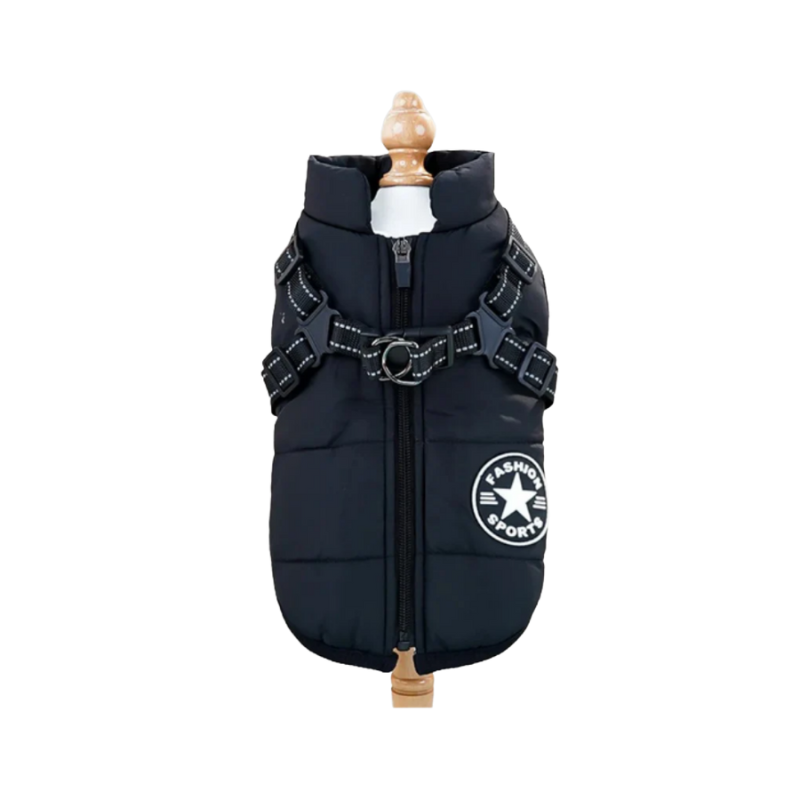 Svart vinterjacka till hund med inbyggd sele