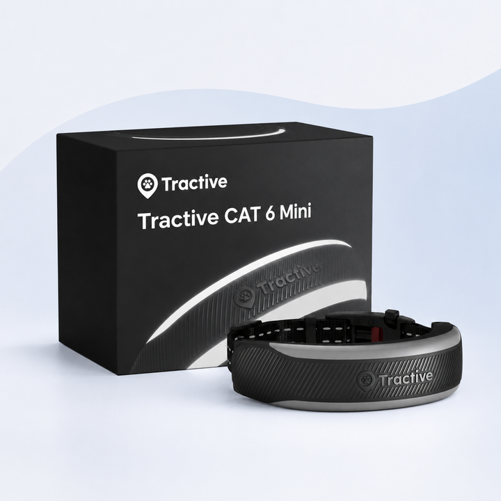 Tractive CAT 6 Mini – katt-GPS med hälsospårning