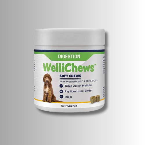 Kosttillskott-Wellichews-Digestion