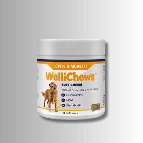 Kosttillskott-Wellichews-Joint