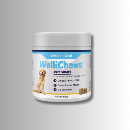 Kosttillskott-Wellichews-Senior